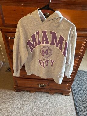 Zara Gray Hoodie with Purple Miami City Print
